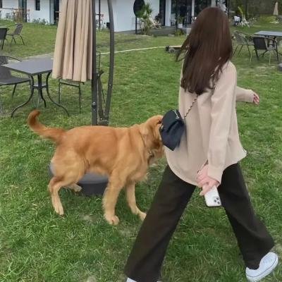 最后的沉默